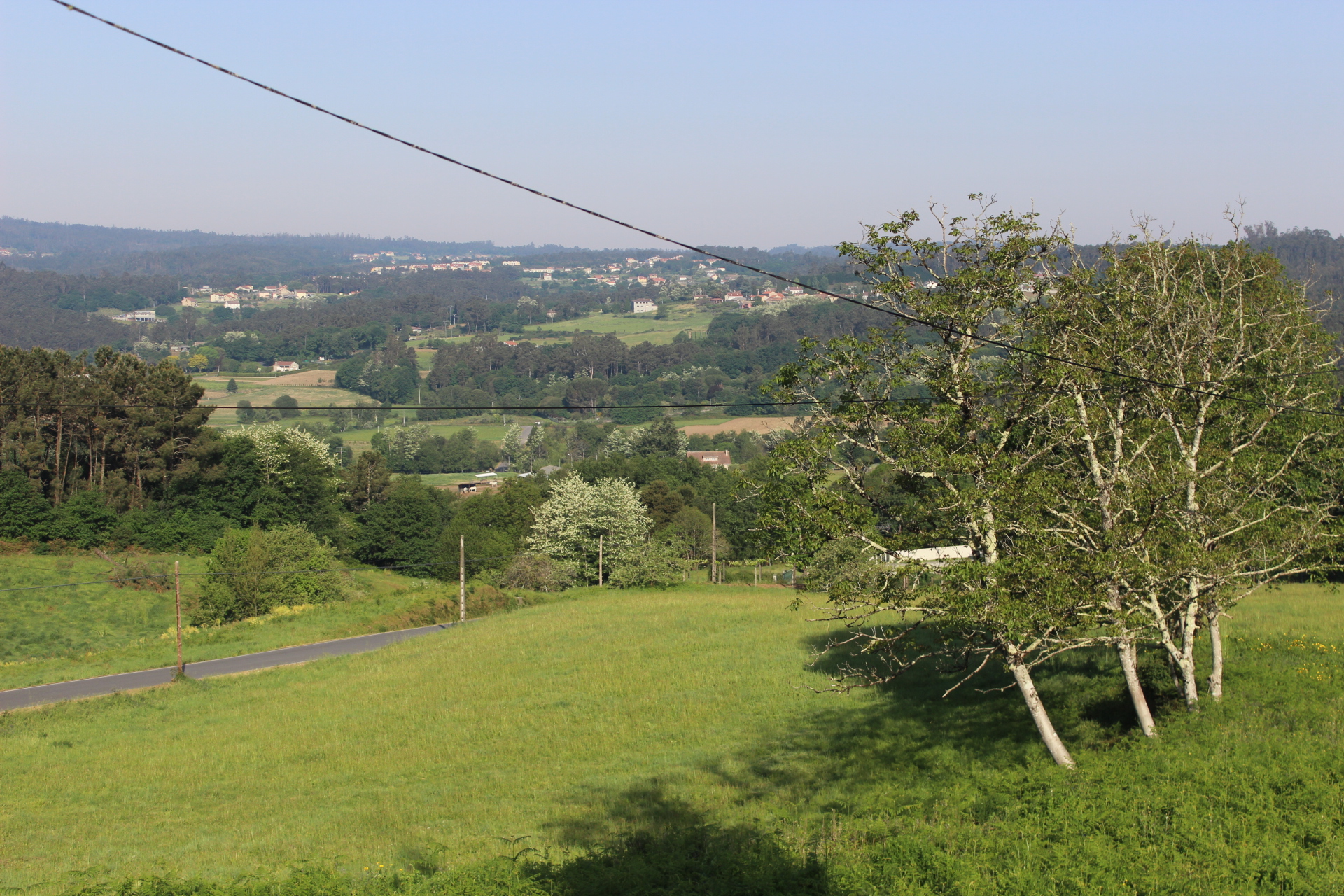 asemblea informativa