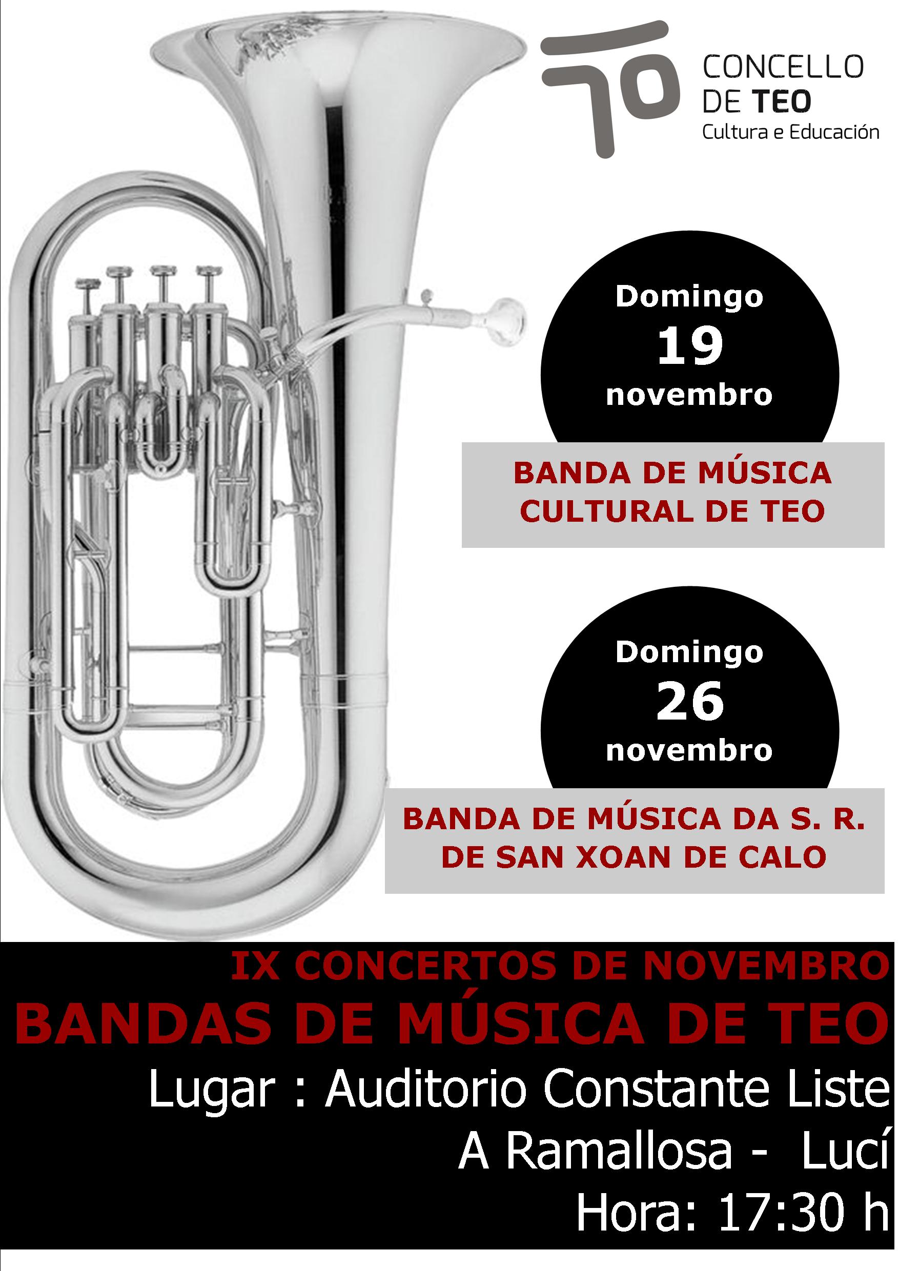 Concerto da Banda de Música Cultural de Teo