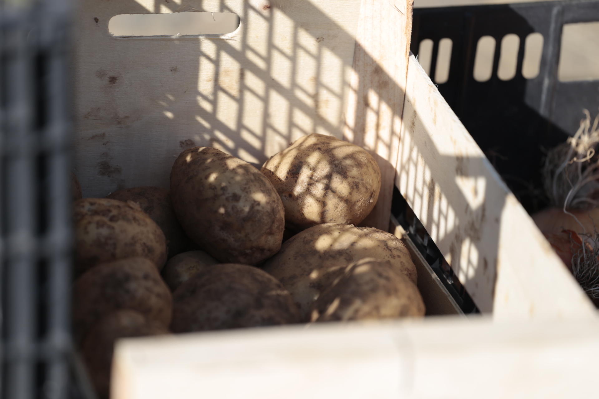 Mercado alimento labrego