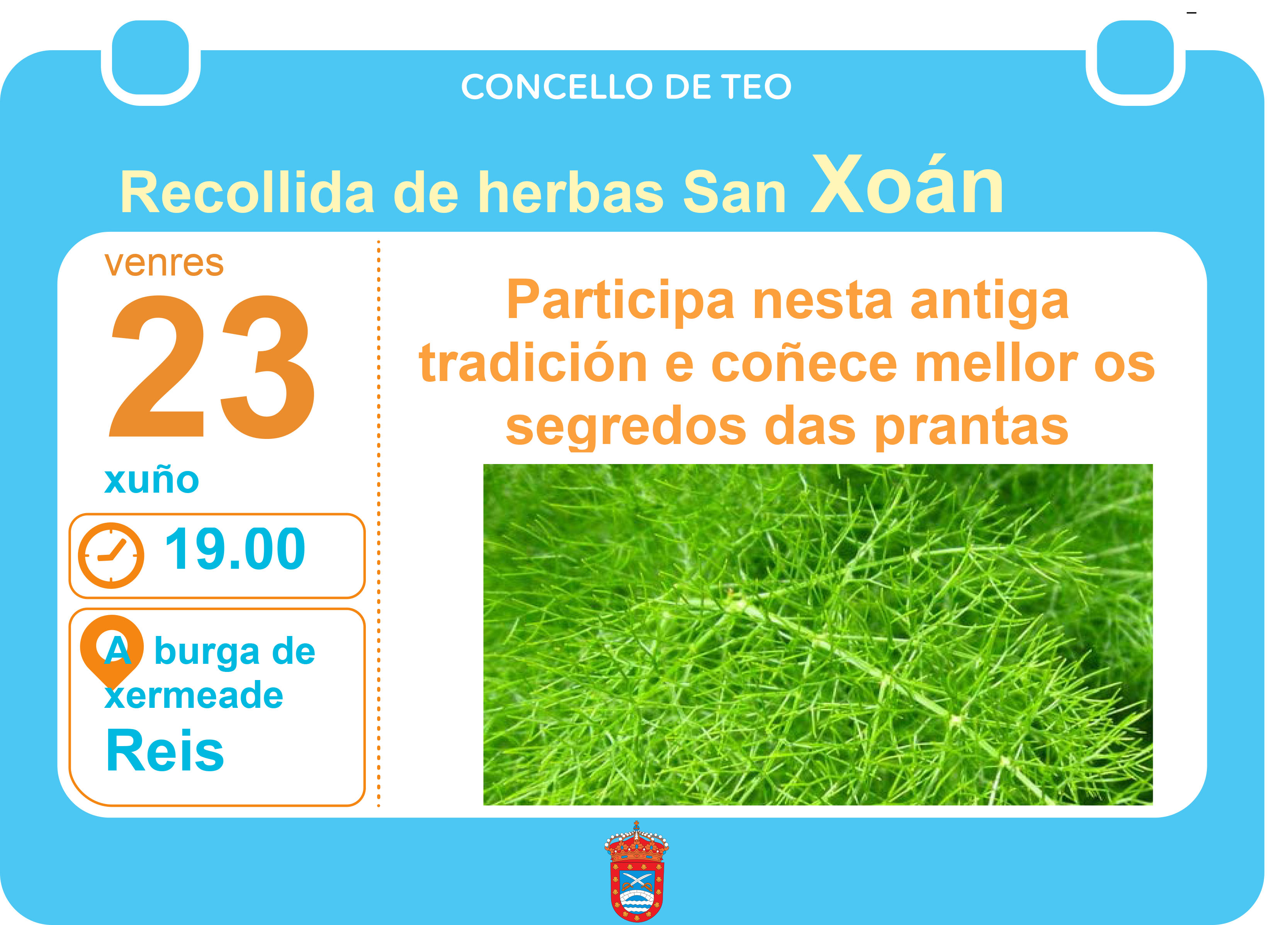 Recollida herbas San Xoán
