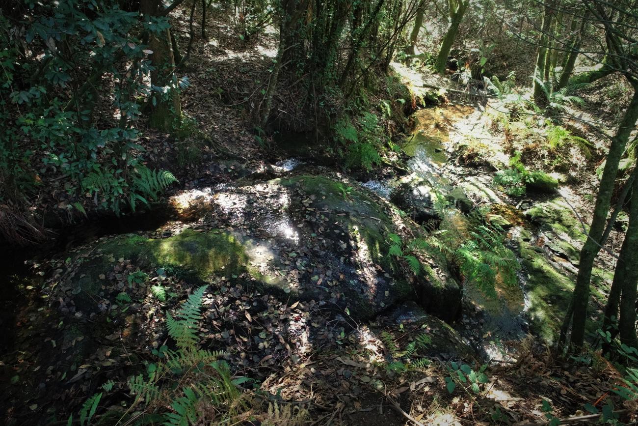 Pegadas de San Simón.