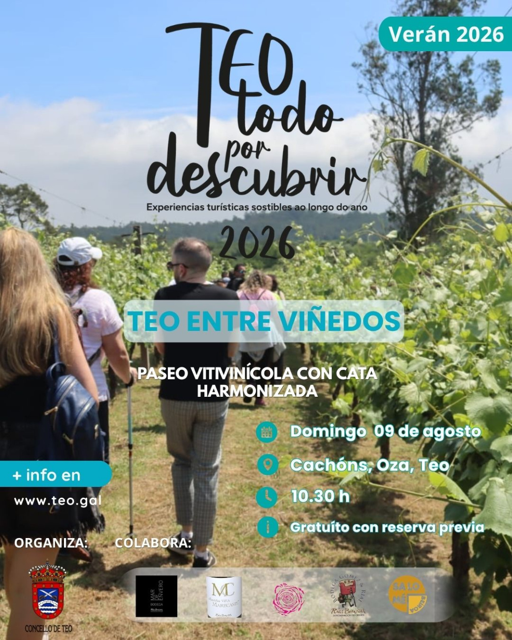 teo entre viñedos