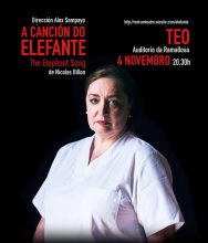 a canción do elefante