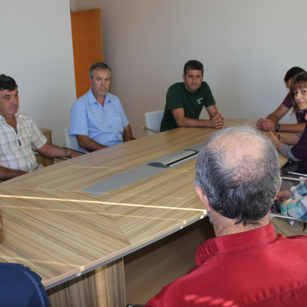 Contratación brigadas