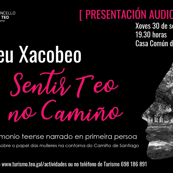 Sentir Teo no Camiño