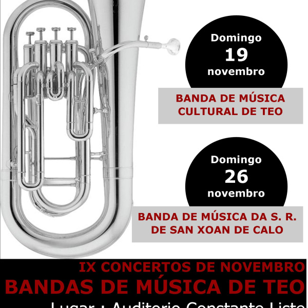 IX Concertos de Novembro de Bandas de Música de Teo