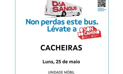 cartel